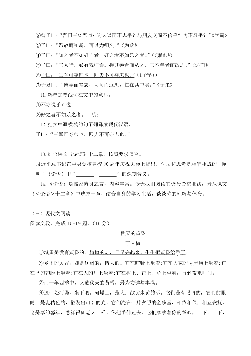 河南省许昌市鄢陵县2023-2024学年七年级上学期期中测试语文卷（含答案）