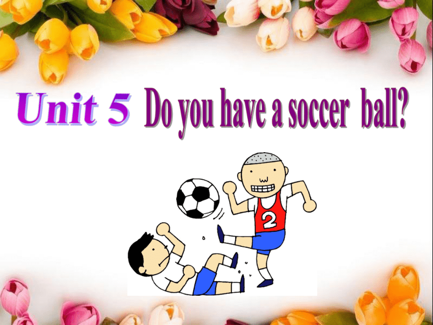 Unit 5 Do You Have A Soccer Ball Section B 1a-1c 课件＋音频(共18张PPT)人教版英语七年级 ...