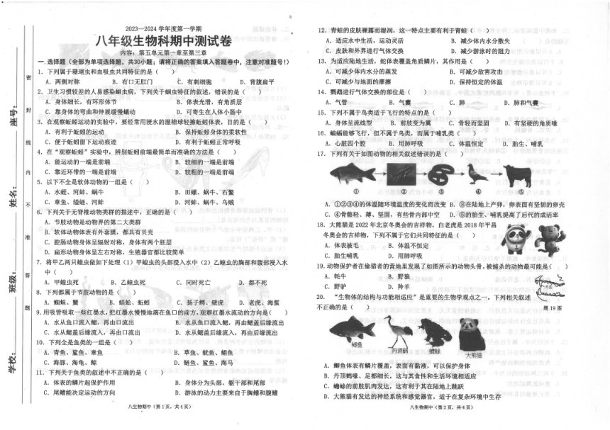 广东省汕头市潮南区司马浦初中学校联考2023-2024学年八年级上学期期中生物试题（PDF版 含答案）