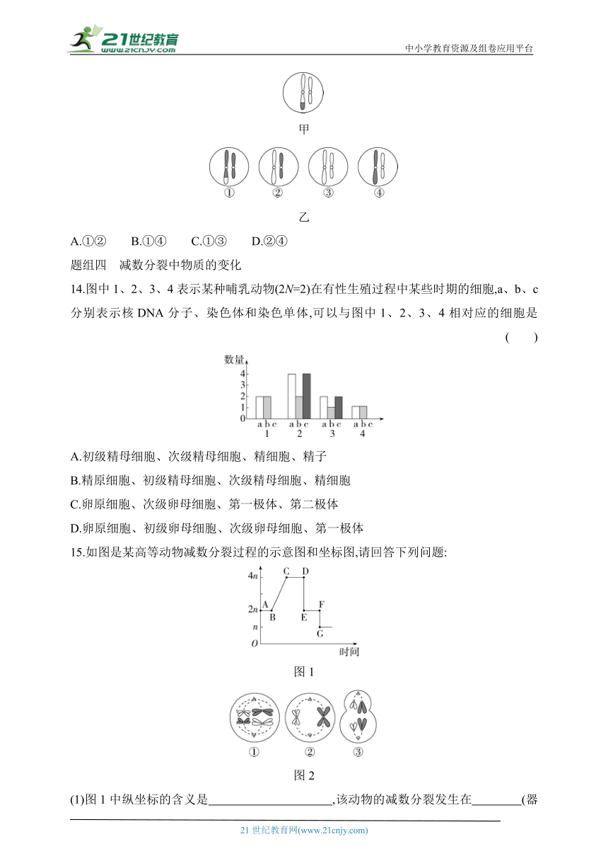 浙科版（2019）高中生物必修2同步练习题：2.1第1课时 减数分裂过程（含解析）