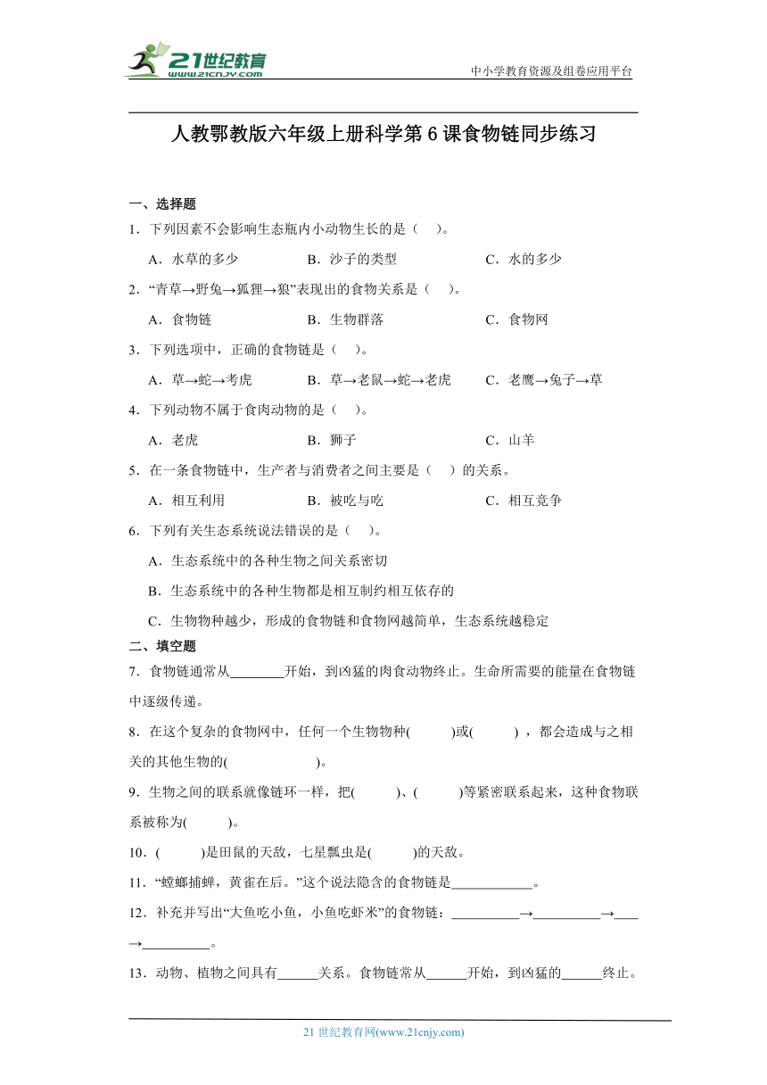 人教鄂教版六年级上册科学2.6 食物链 同步练习（含答案）