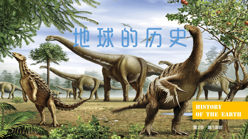 课件预览