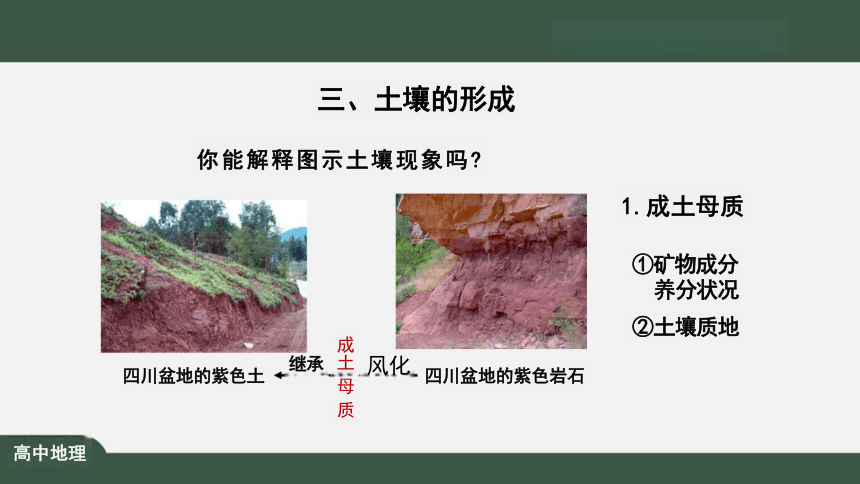 5.2 （第2课时） 土壤 课件（共26张PPT）