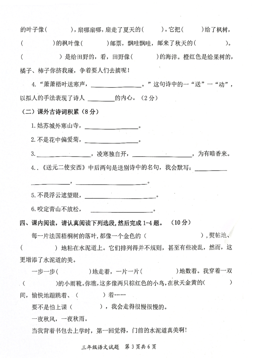 山东省枣庄市市中区2023-2024学年三年级上学期11月期中语文试题（PDF版，无答案）