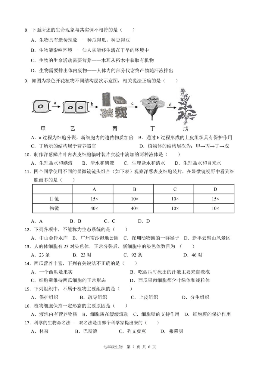 广东省韶关市新丰县2023-2024学年七年级上学期期中考试生物试题（PDF版无答案）