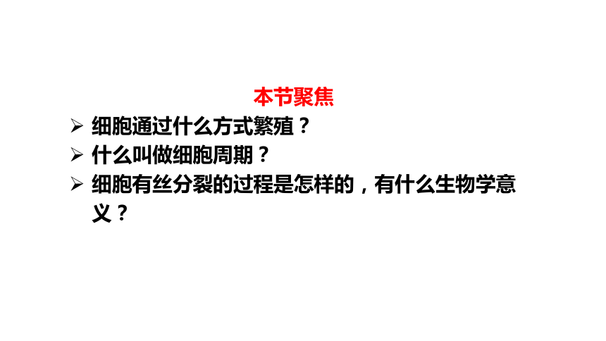 6.1细胞的增殖课件(共35张PPT)    人教版必修1