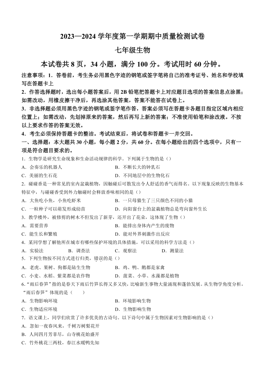 广东省阳江市江城区2023-2024学年七年级上学期期中生物试题（含答案）