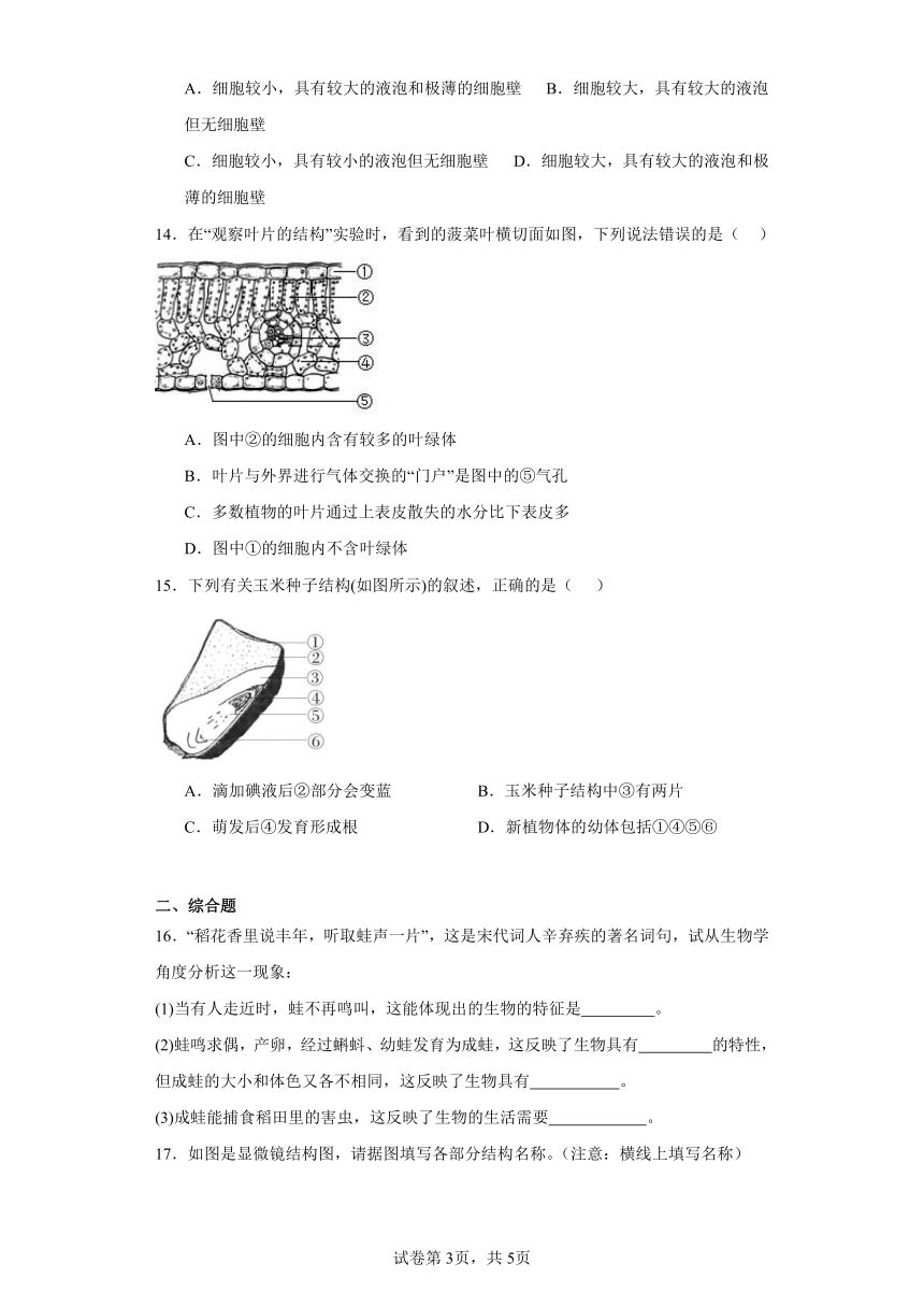 2023-2024学年初中生物苏教版七年级上册期末测试模拟卷2（答案+解析）