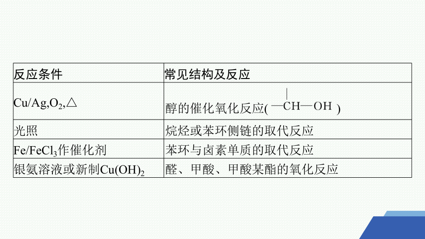 微专题7　有机推断的解题策略课件(共45张PPT) 2023-2024学年高二化学人教版选择性必修3