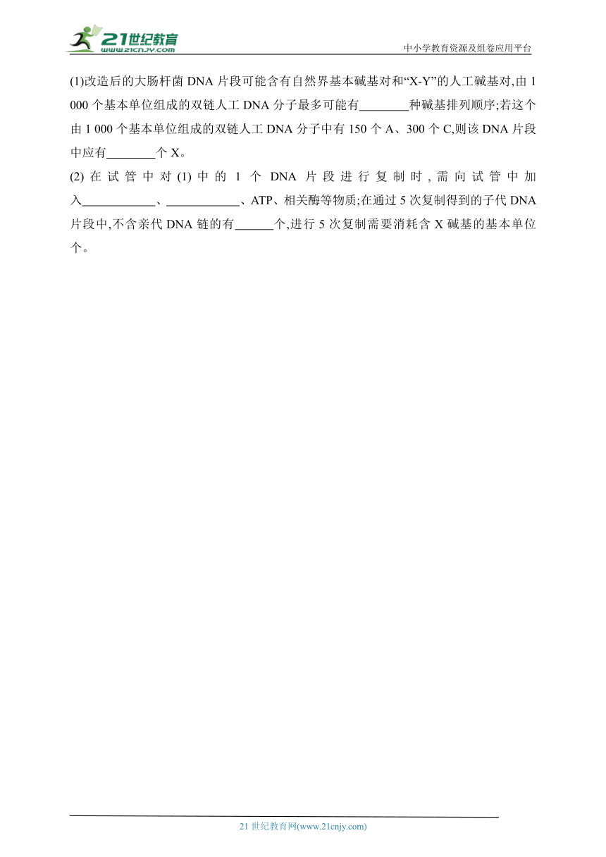 浙科版（2019）高中生物必修2同步练习题：3.3 DNA通过复制传递遗传信息（含解析）