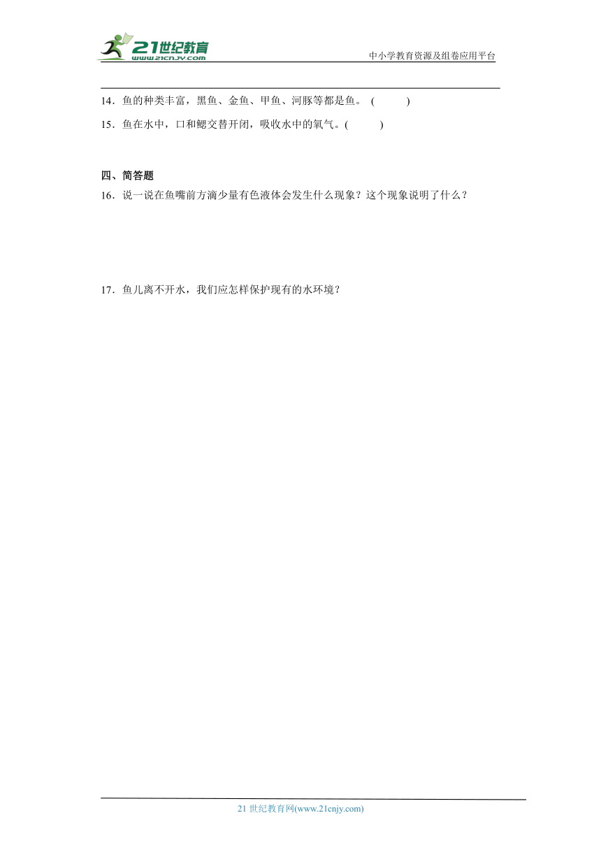 苏教版四年级上册科学1.2 鱼类分类 同步训练（含答案）