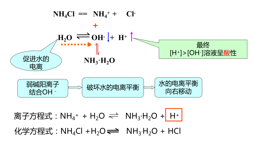 3.2.2 盐类水解的原理  课件 (共20张PPT)  2023-2024学年高二上学期化学鲁科版（2019）选择性必修1