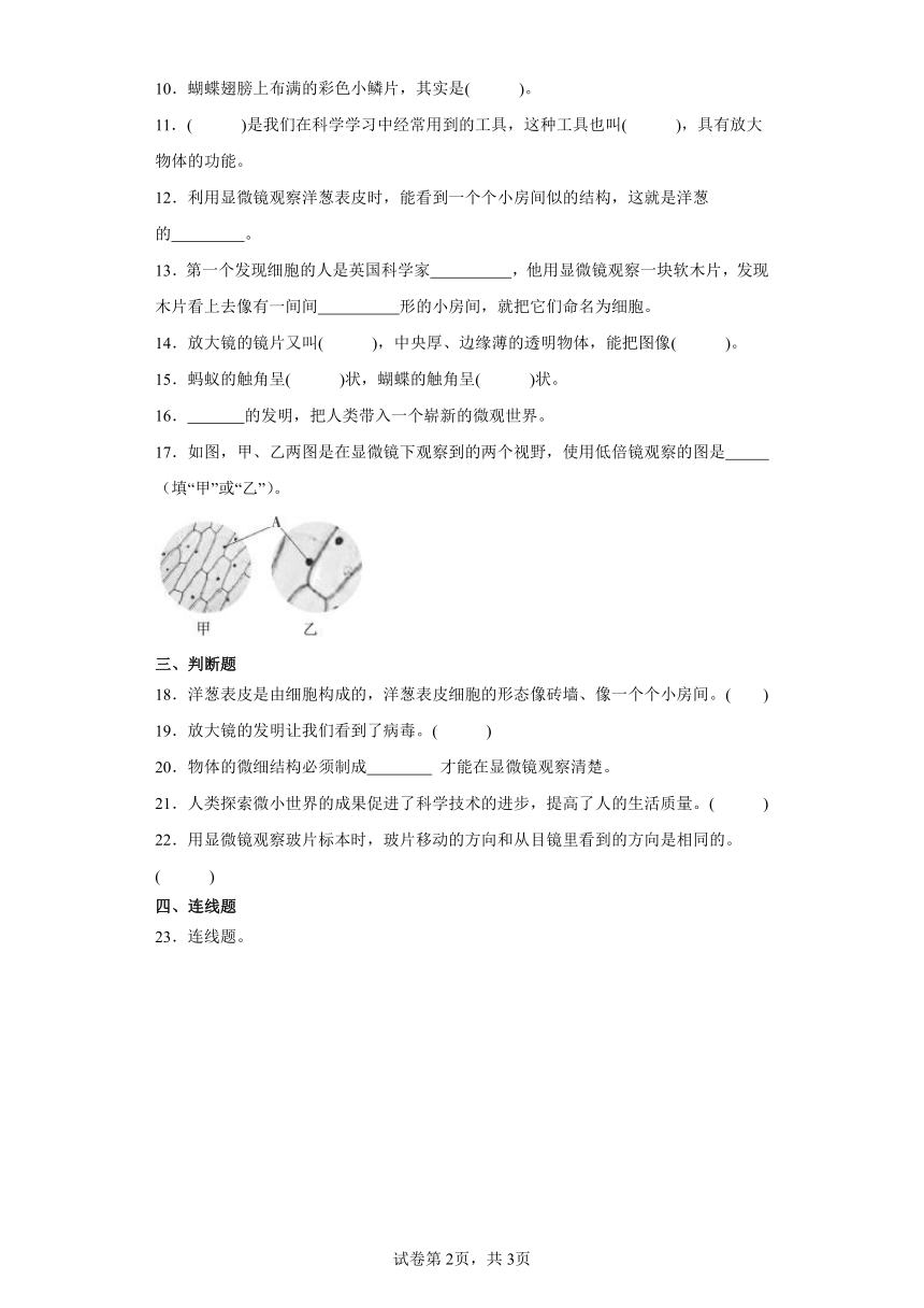 教科版六年级上册科学第一单元微小世界综合训练题（含答案）