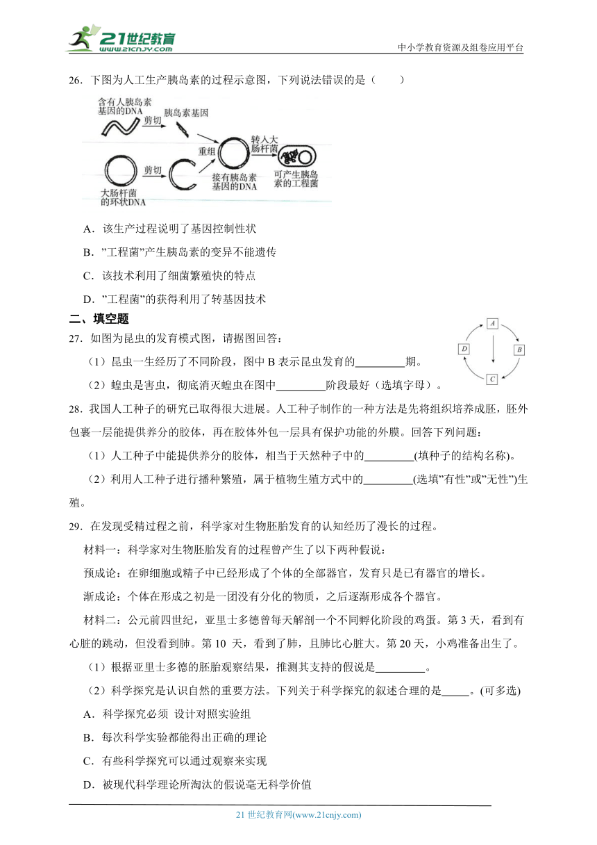 2024年中考科学第一轮复习：生物之生命的延续和进化