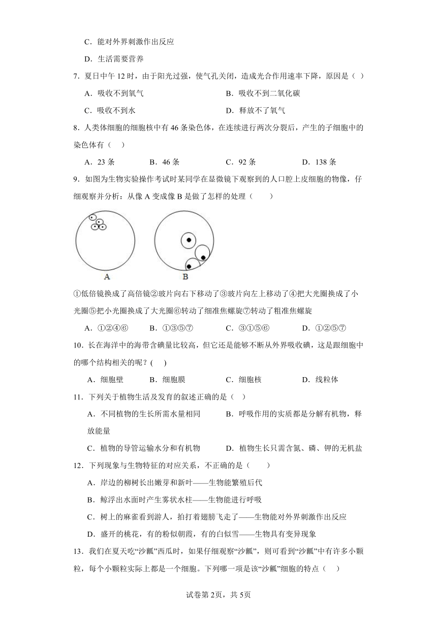 2023-2024学年初中生物苏教版七年级上册期末测试模拟卷2（答案+解析）