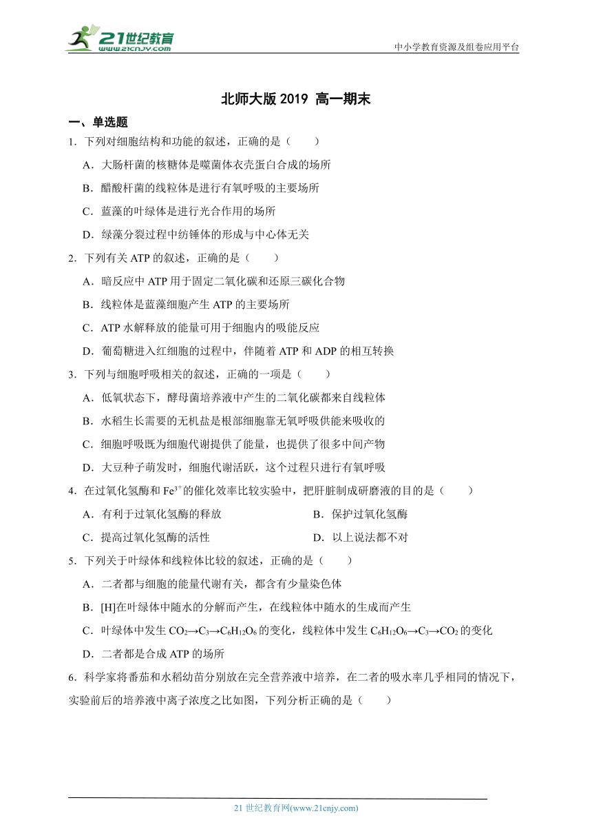 2023-2024学年高中生物北师大版（2019）高一上学期期末测试模拟卷（含解析）