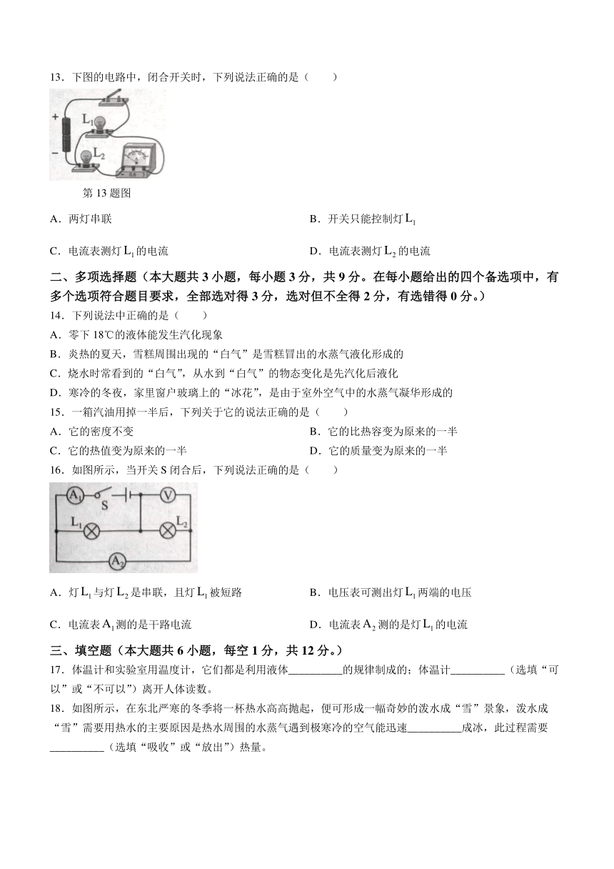 广西壮族自治区百色市2023-2024学年九年级上学期11月期中物理试题（含答案）
