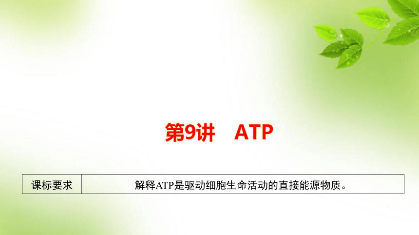 人教高考生物一轮复习课件：第9讲　细胞中代谢产生的ATP(共21张PPT)