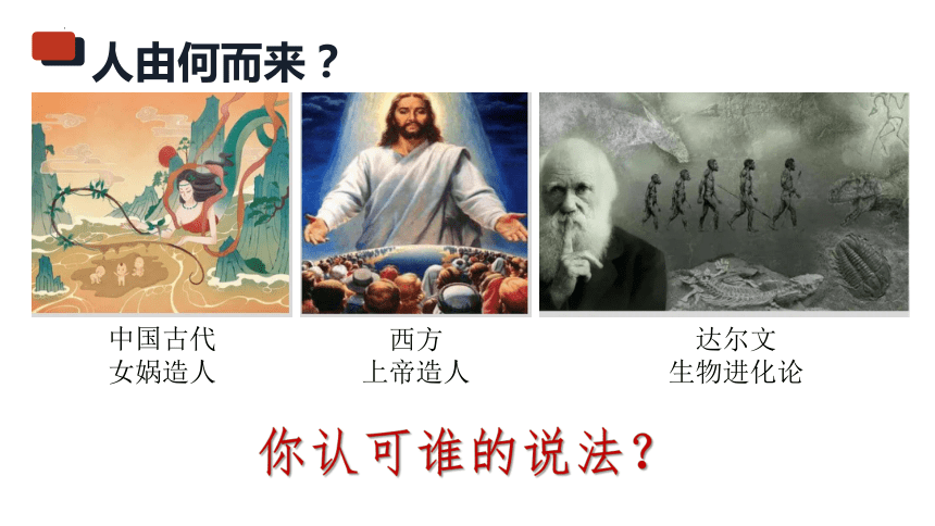 第1课中国境内早期人类代表——北京人 课件（27张PPT）