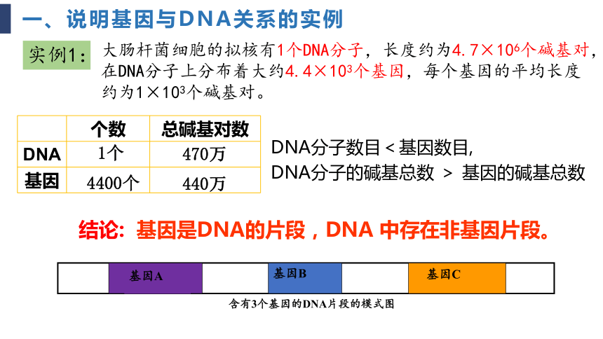 生物人教版（2019）必修2 3.4基因是通常是有遗传效应的DNA片段 课件（共22张ppt）