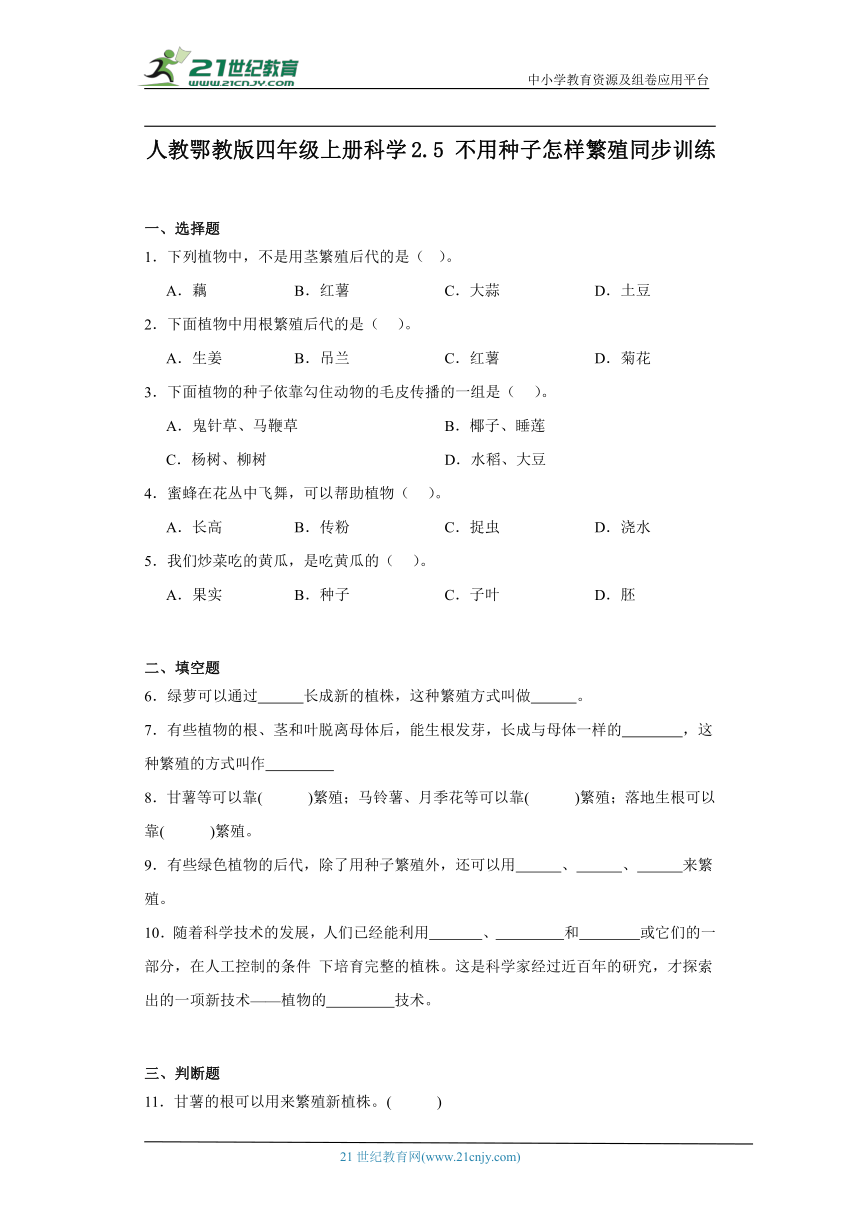 人教鄂教版四年级上册科学2.5 不用种子怎样繁殖 同步训练（含答案）