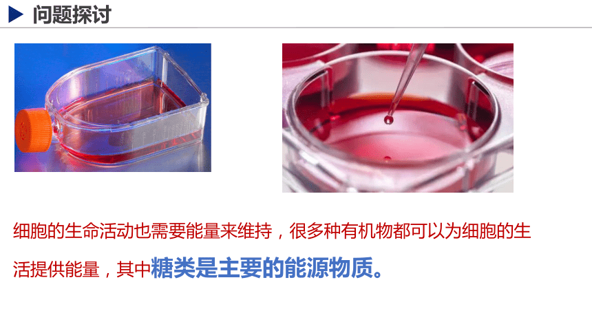 2.3细胞中的糖类和脂质课件(共21张PPT) 生物人教版必修1