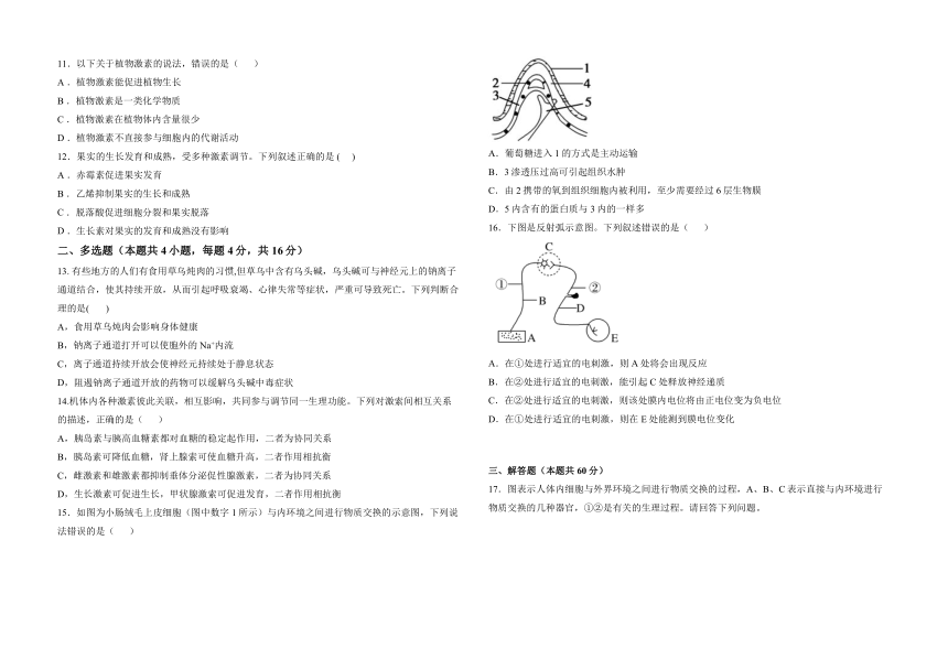 湖南省衡阳市衡阳县第四中学2023-2024学年高二上学期11月期中考试生物学试题B（含答案）