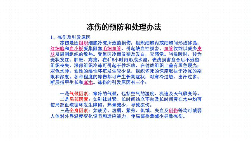 2023年安全知识讲座——冬季安全知识课件(共37张PPT)