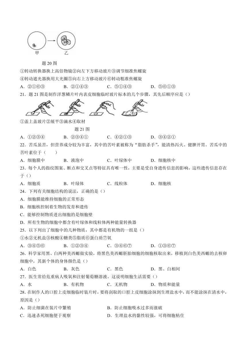 广东省阳江市江城区2023-2024学年七年级上学期期中生物试题（含答案）