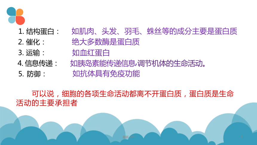 2.4 蛋白质是生命活动的主要承担者(共24张PPT)-高一生物学（人教版2019必修1）