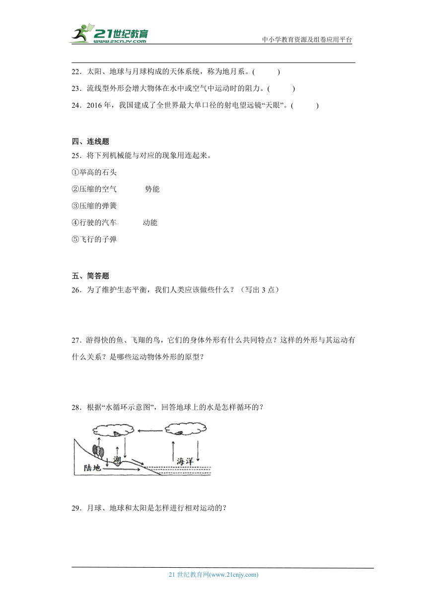 湘科版六年级上册科学期末综合训练（含答案）