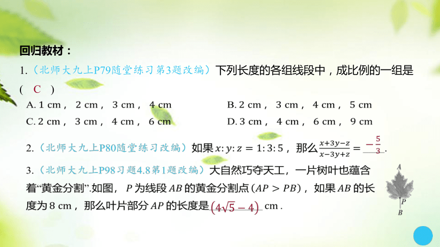 2024中考数学总复习课件：第19讲 相似三角形（36张PPT）