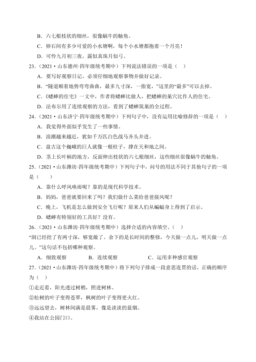 四年级语文上册期中真题分类汇编山东专用专题03句子句法应用（含解析）-21世纪教育网