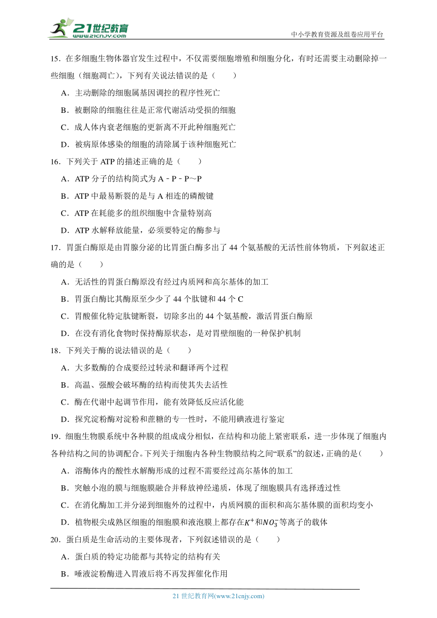 2023-2024学年高中生物沪科版（2019）高一上学期期末测试模拟卷（含解析）