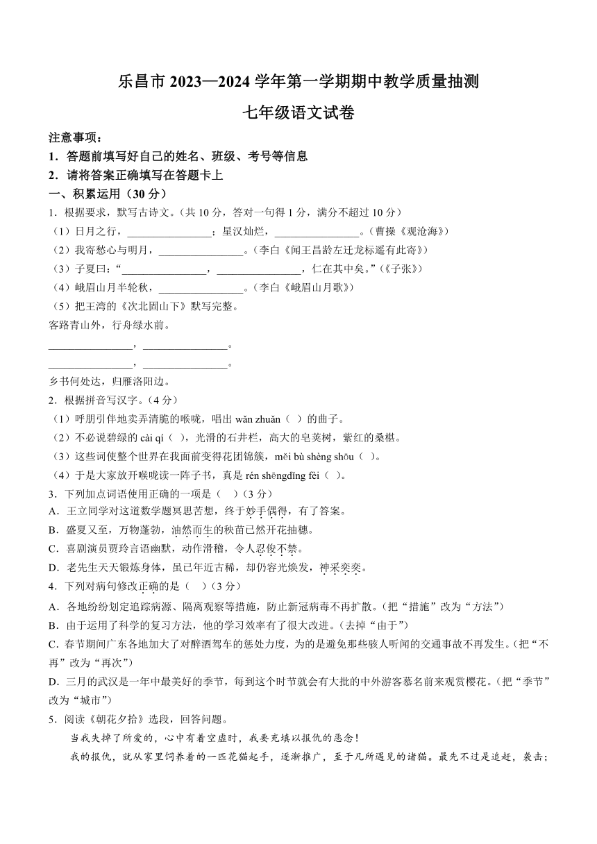 广东省韶关乐昌市2023-2024学年七年级上学期期中语文试题（含答案）