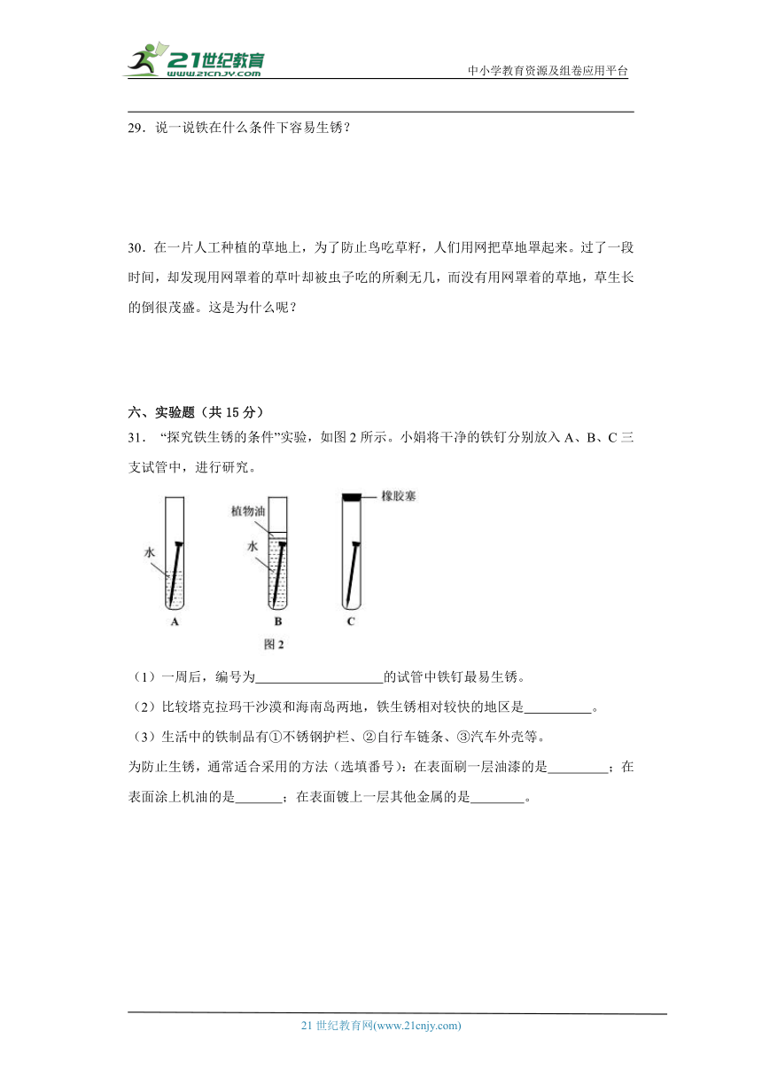 人教鄂教版六年级上册科学期末测试题（含答案）