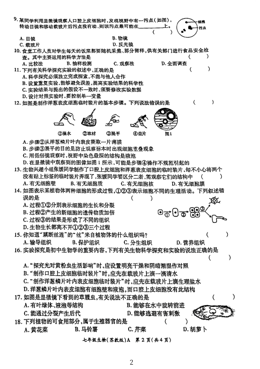 河南省周口市太康县2023-2024学年七年级上学期期中生物学试题（PDF版无答案）