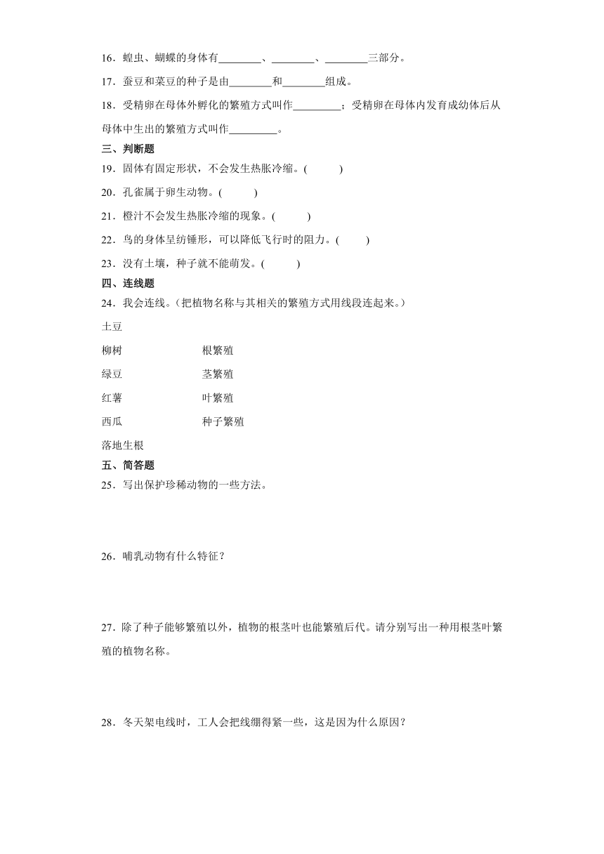 人教鄂教版四年级上册科学期中综合训练（1-3单元）（含答案）