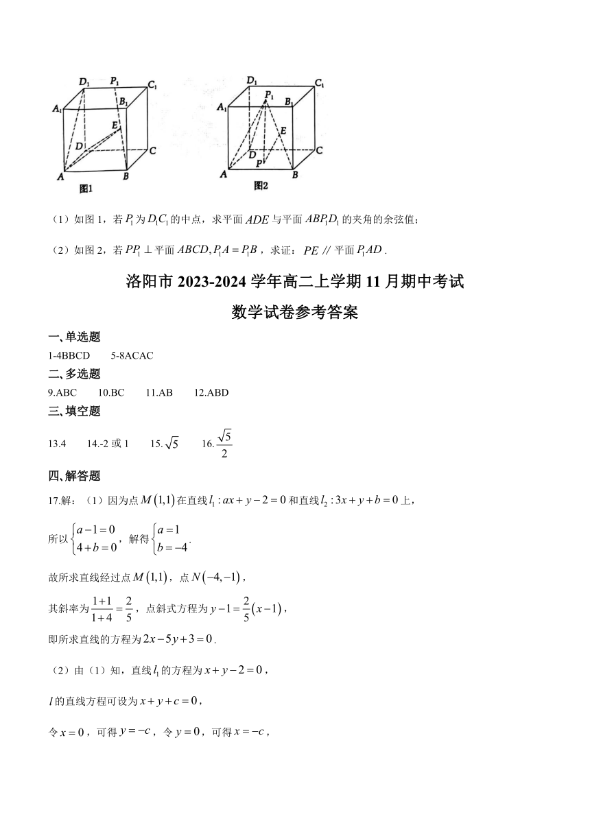 河南省洛阳市2023-2024学年高二上学期11月期中考试数学试题（含答案）