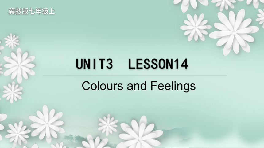 Unit 3 Lesson 14 Colours and Feelings 教学课件(共17张PPT)2023-2024学年初中英语冀教版七年级上册
