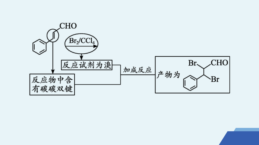 微专题7　有机推断的解题策略课件(共45张PPT) 2023-2024学年高二化学人教版选择性必修3