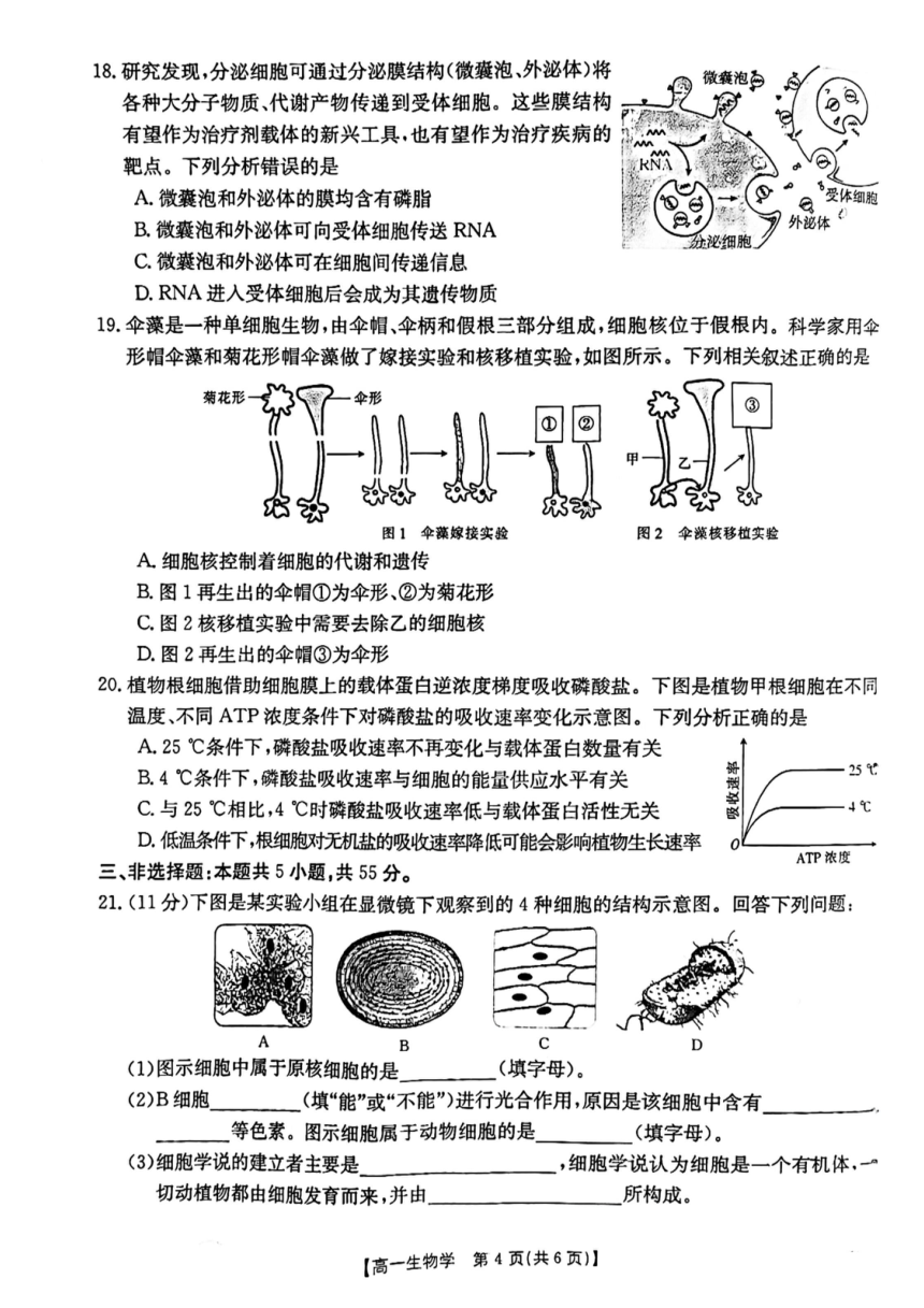 吉林省松原市前郭五中、前郭二中、前郭蒙中2023~2024学年度高一上学期期中测试 生物试卷（PDF版，含解析）