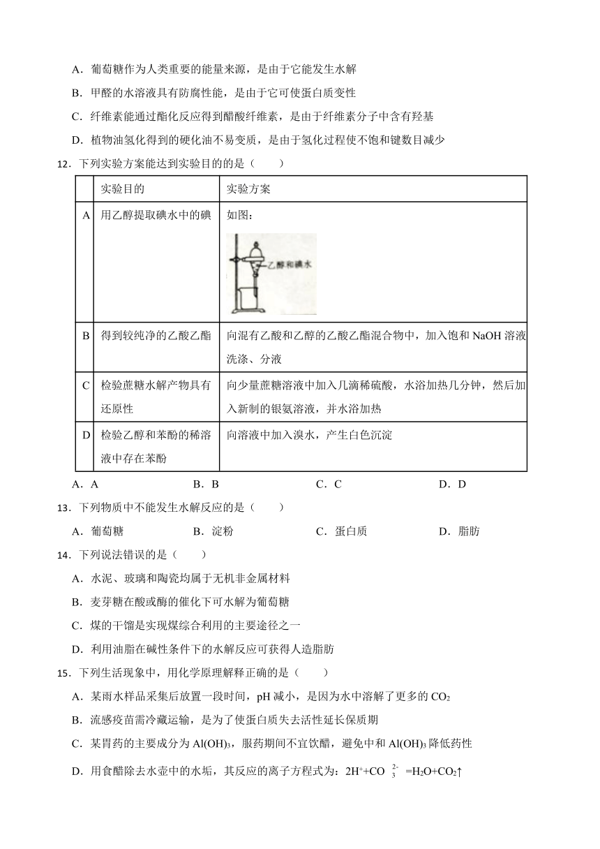 第四章 生物大分子 章节测试 （含解析）2023-2024学年高二下学期化学人教版（2019）选择性必修3