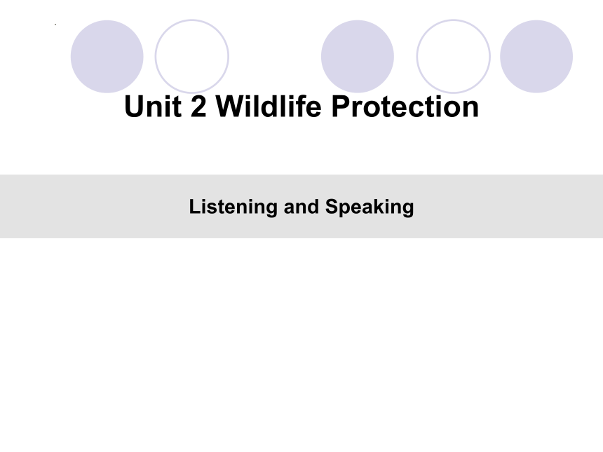 人教版（2019）必修 第二册Unit 2 Wildlife protection Listening and Speaking课件(共40张PPT)