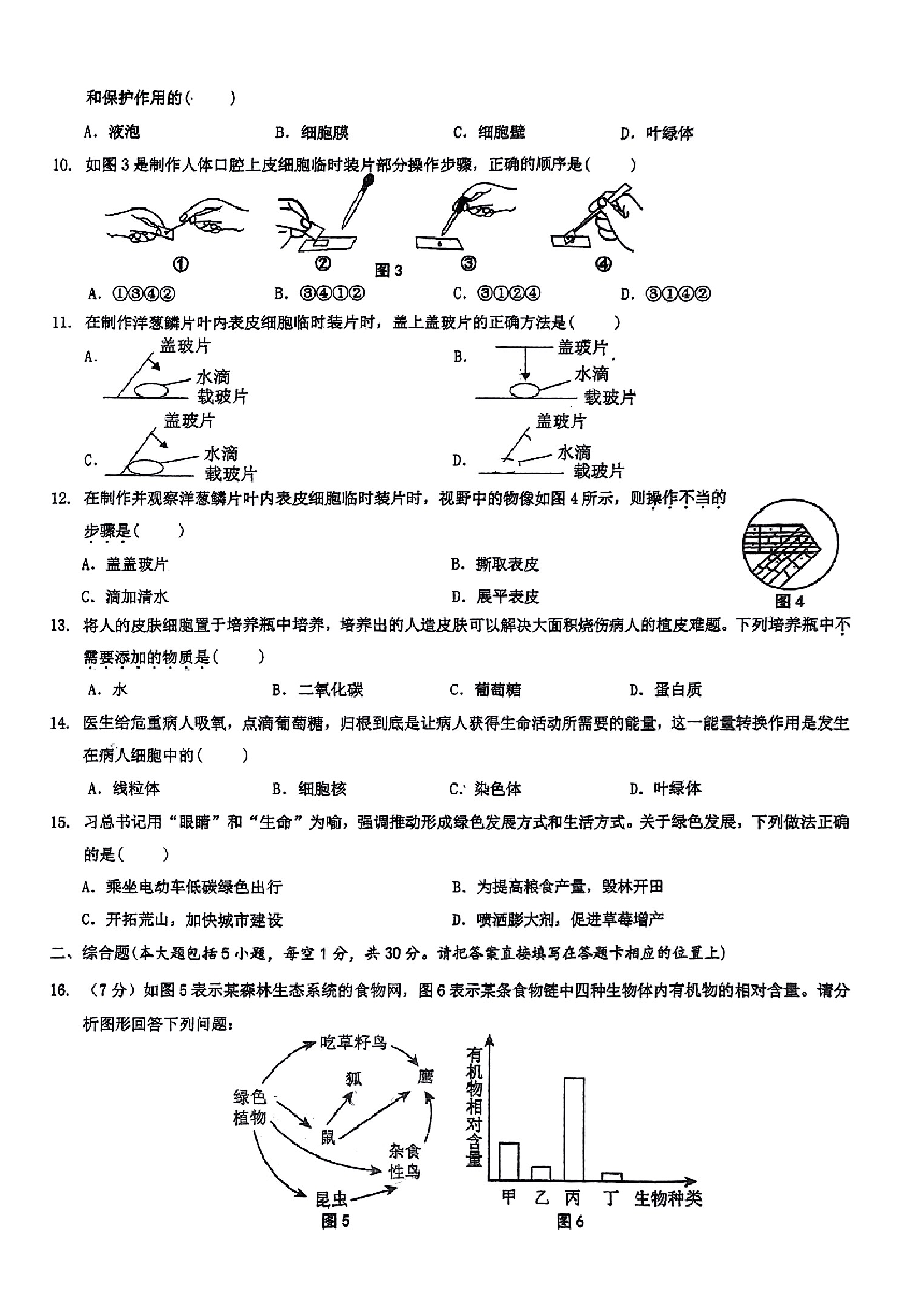 广西柳州市第八中学2023-2024学年七年级上学期期中考试生物试卷（图片版 无答案）