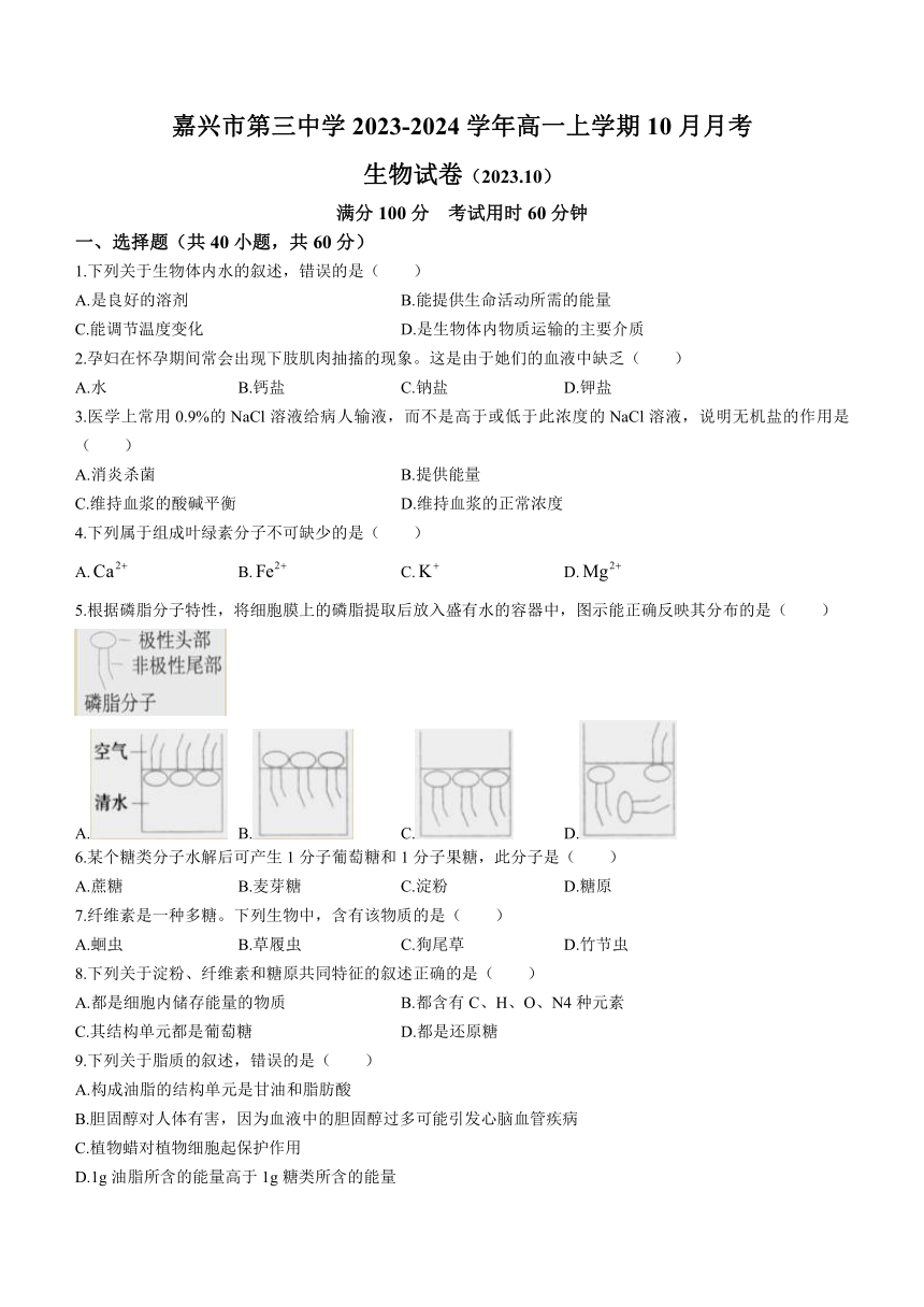 浙江省嘉兴市第三中学2023-2024学年高一上学期10月月考生物学试题（含答案）