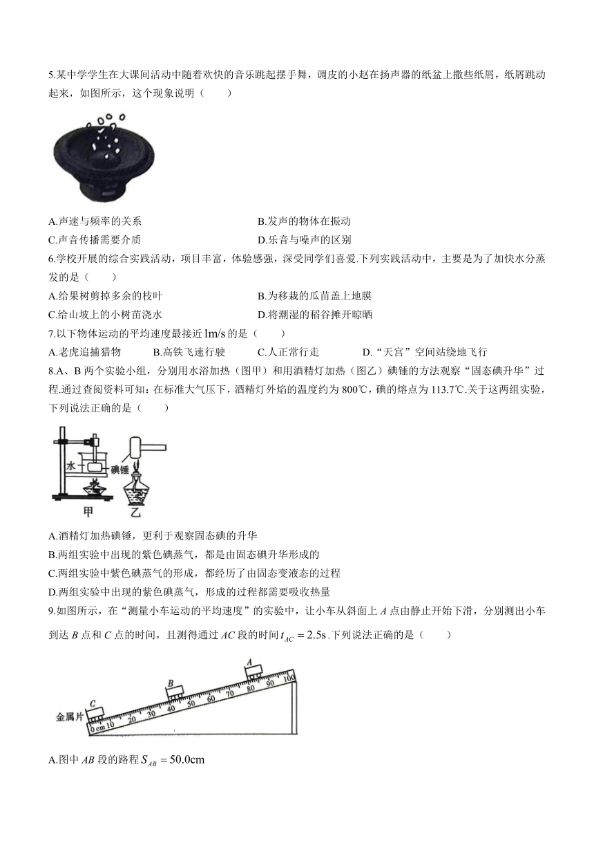 陕西省安康市汉阴县2023-2024学年八年级上学期期中考试物理试题（含答案）