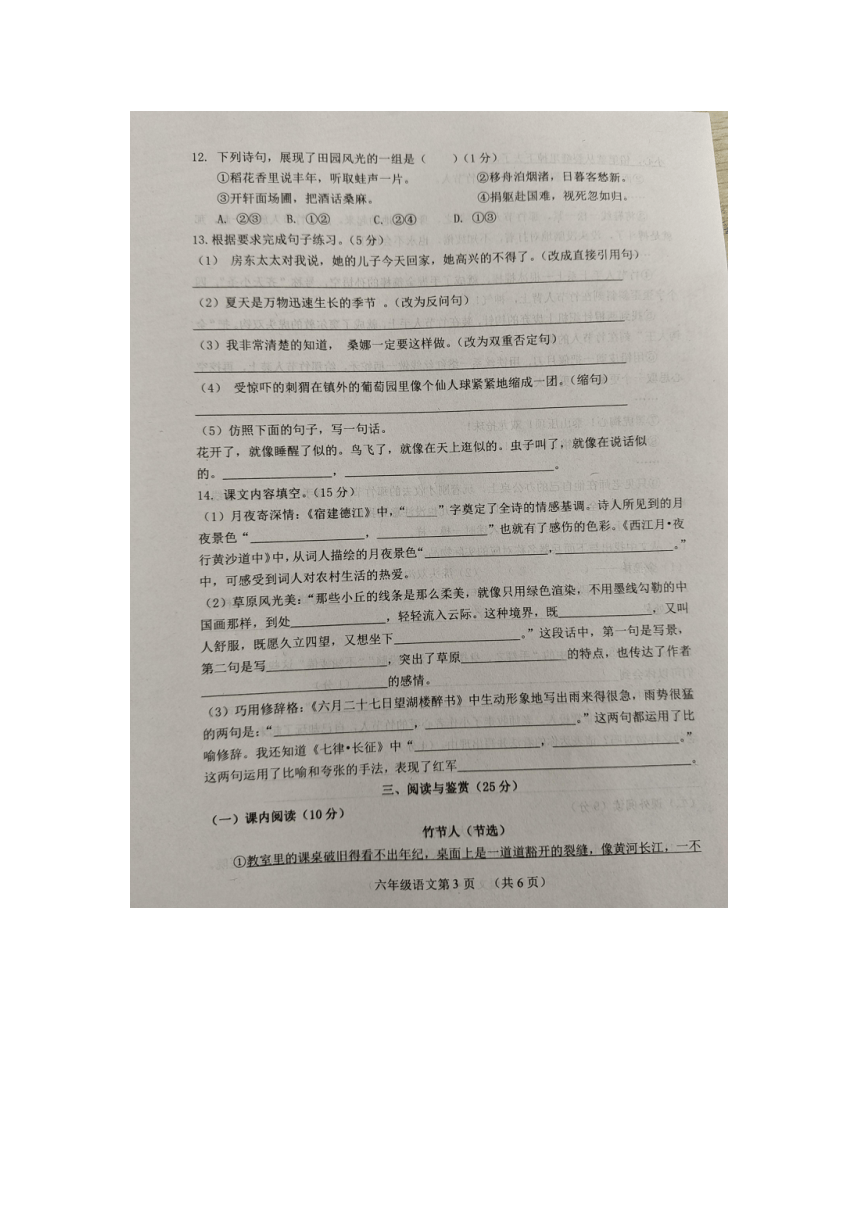 山东省菏泽市郓城县2023-2024学年六年级上学期11月期中语文试题（有解析）