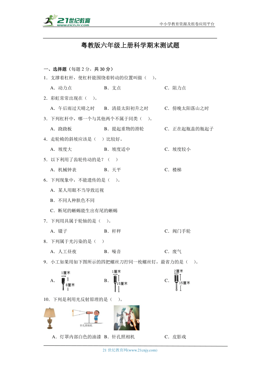 粤教版六年级上册科学期末测试题（含答案）