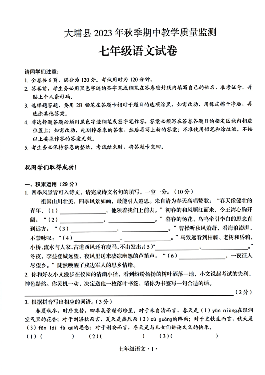 广东省梅州市大埔县2023-2024学年七年级上学期11月期中语文试题(PDF版含答案)
